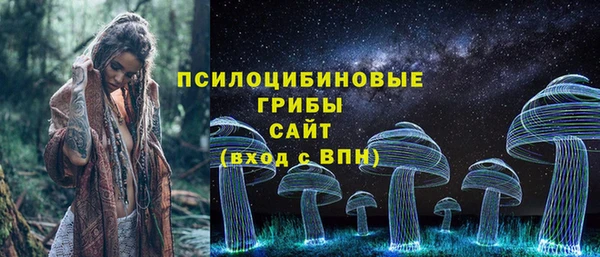 амф Арсеньев