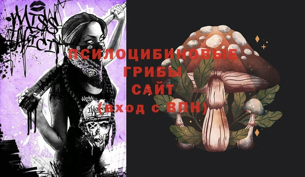 амф Арсеньев