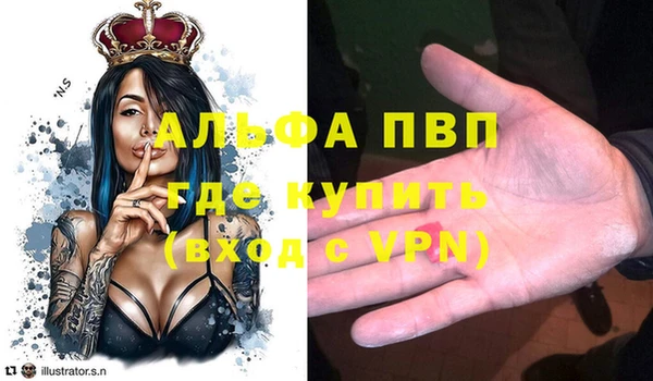 трава Аркадак