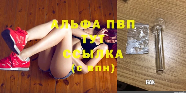 трава Аркадак
