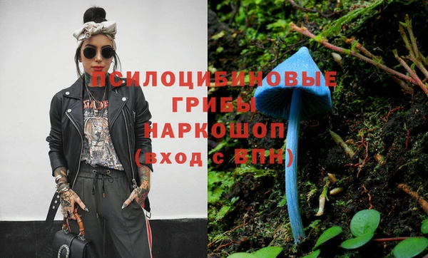 амф Арсеньев