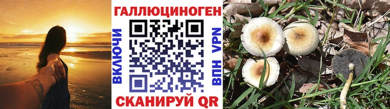 Галлюциногенные грибы Cubensis  Пыталово 